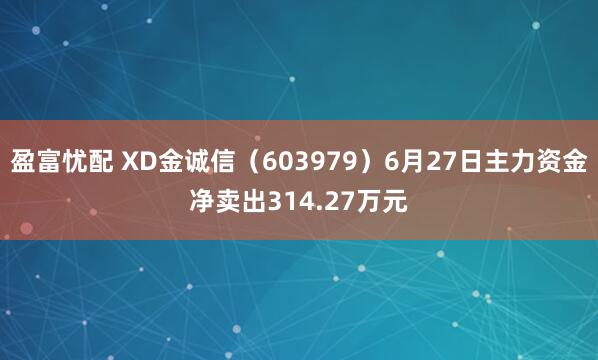 盈富忧配 XD金诚信（603979）6月27日主力资金净卖出314.27万元