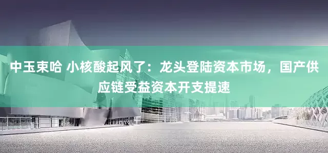 中玉束哈 小核酸起风了：龙头登陆资本市场，国产供应链受益资本开支提速